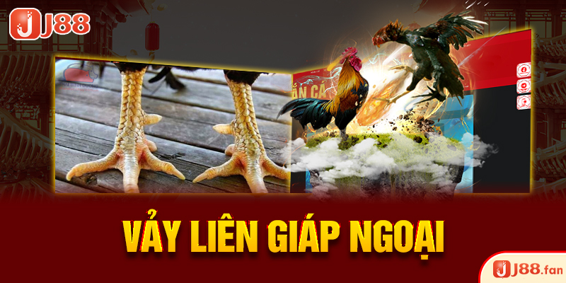 23 Vảy Gà Xấu Khiến Nhiều Kê Thủ Phải Lắc Đầu Bỏ Qua 5 Vảy liên giáp ngoại